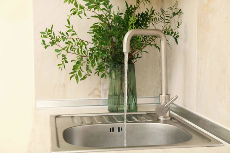 Kitchen sink with running faucet and green plant in vase