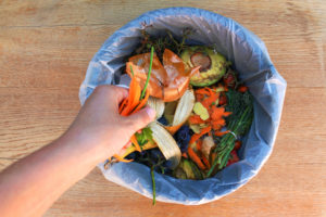 Compost bin with plastic bag to prevent kitchen drain clogs from food