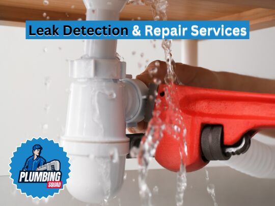 leak detection services products