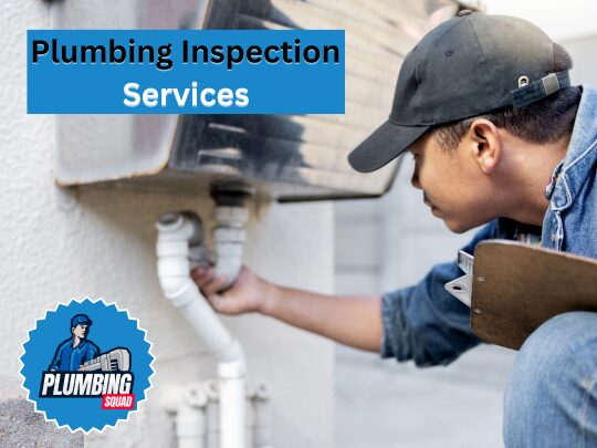 plumbing inspection services products